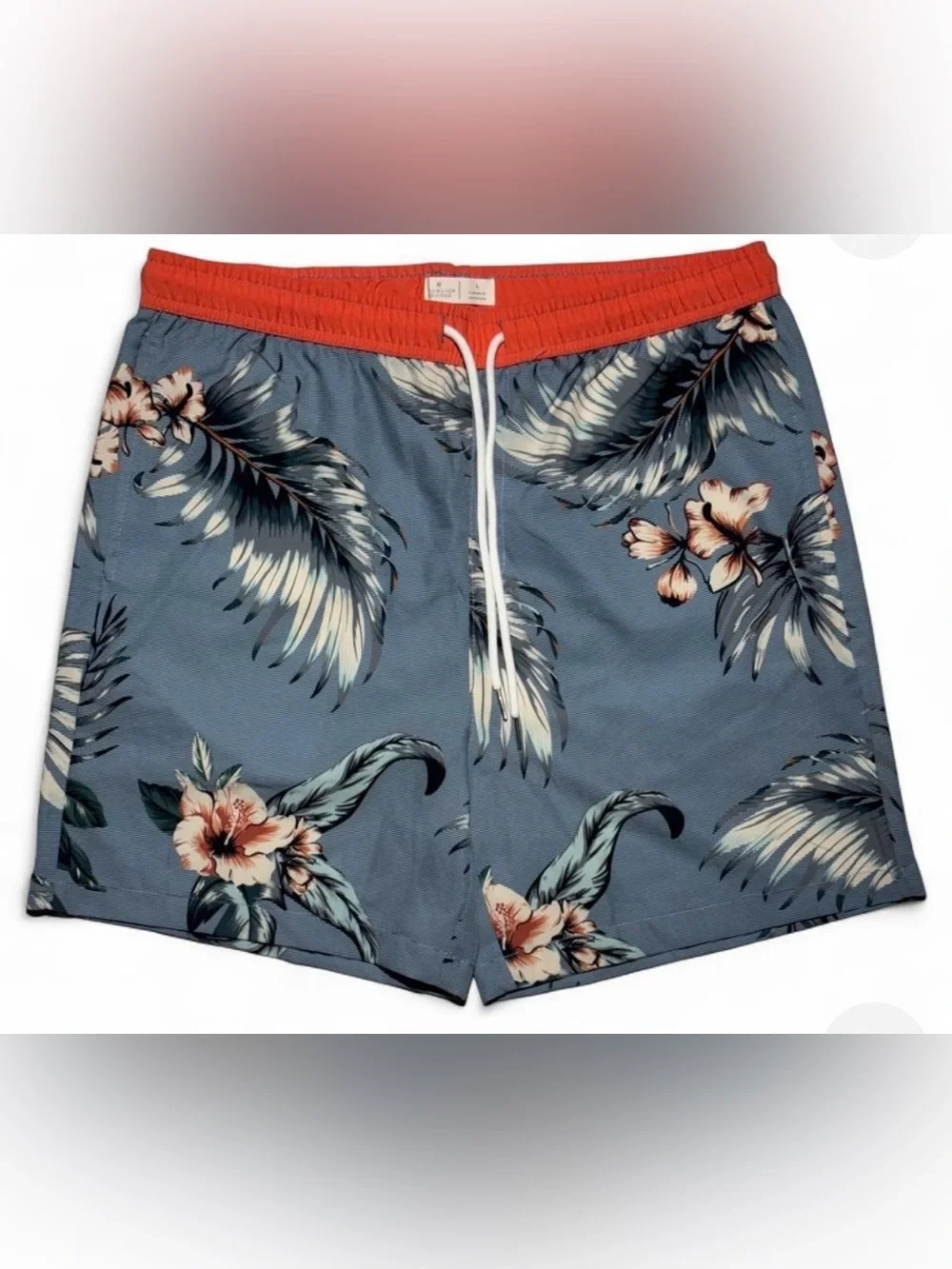 PUBLIC RECORDS SWIM TRUNKS LARGE MENS